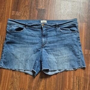 LOFT Blue Jean Shorts Mid-Thigh Cutoff